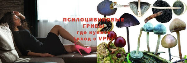 амф Ладушкин