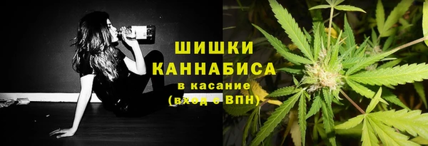 амф Ладушкин