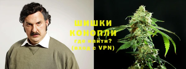 амф Ладушкин