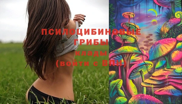 альфа пвп Лабытнанги