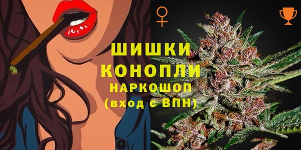 амф Ладушкин